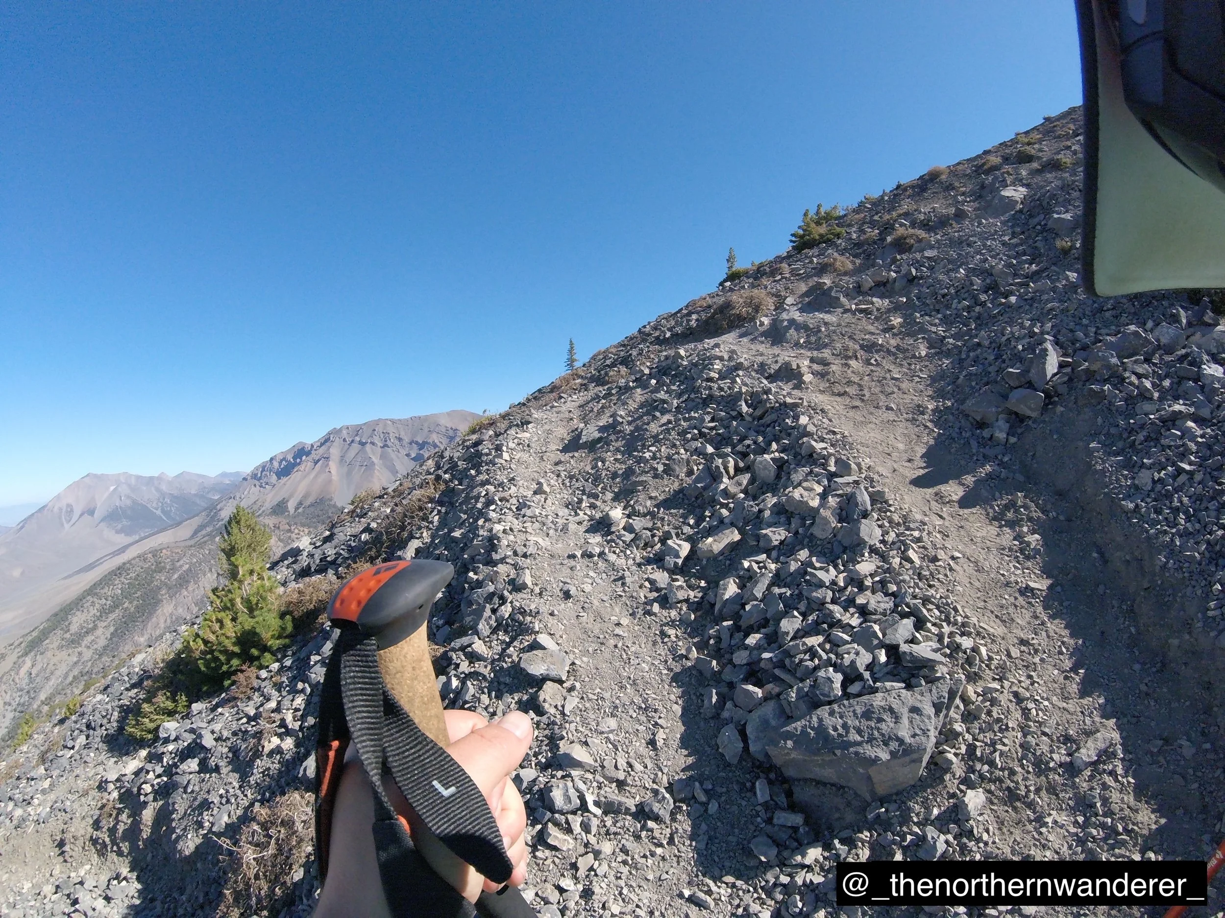 10   G0102295.JPG    BP GALLERY.JPG