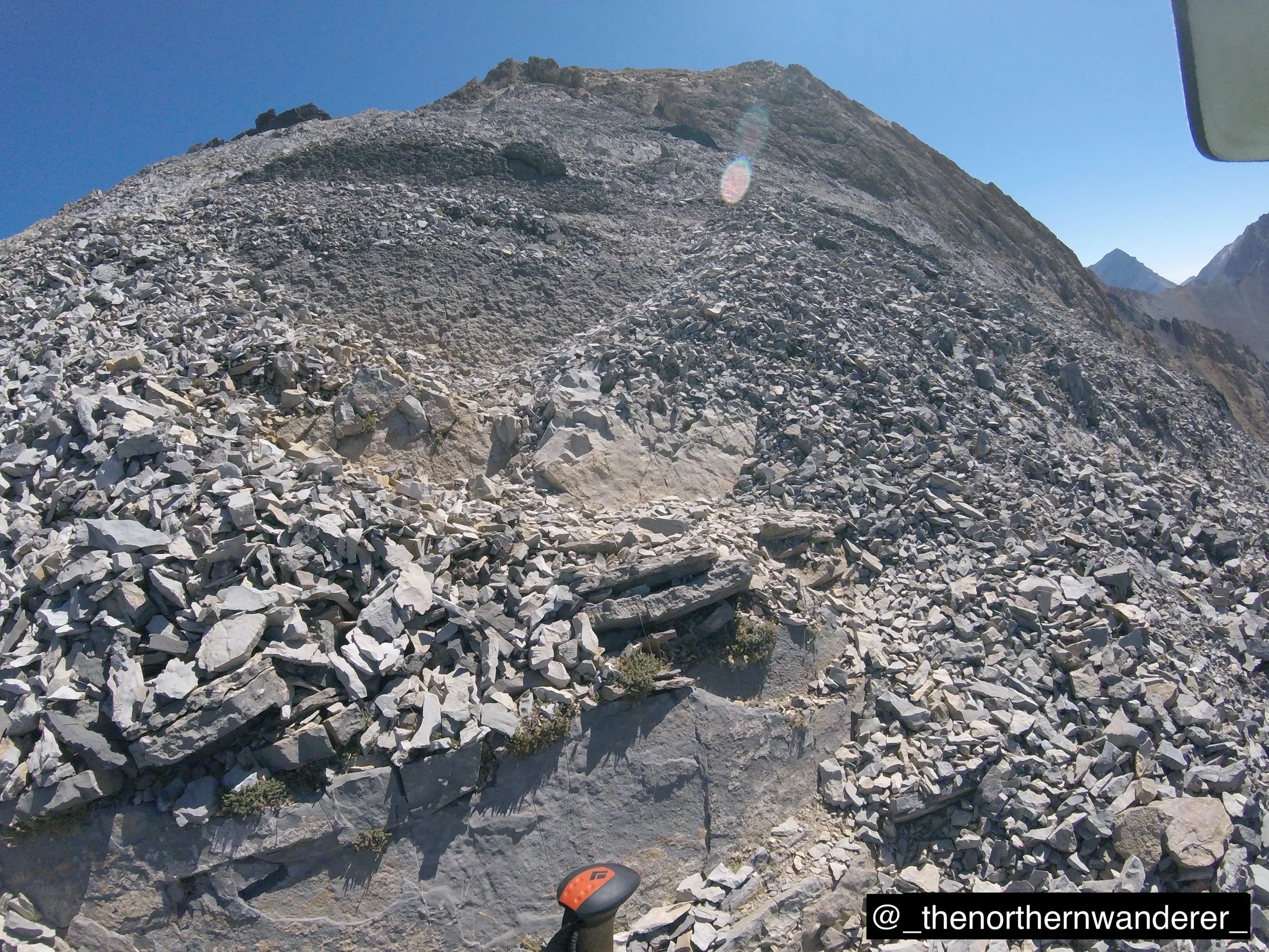 17   G0102386.JPG    BP GALLERY.JPG