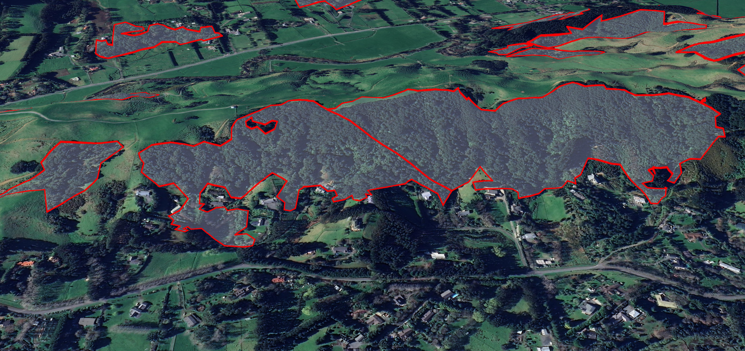 Observer native forest 3.png