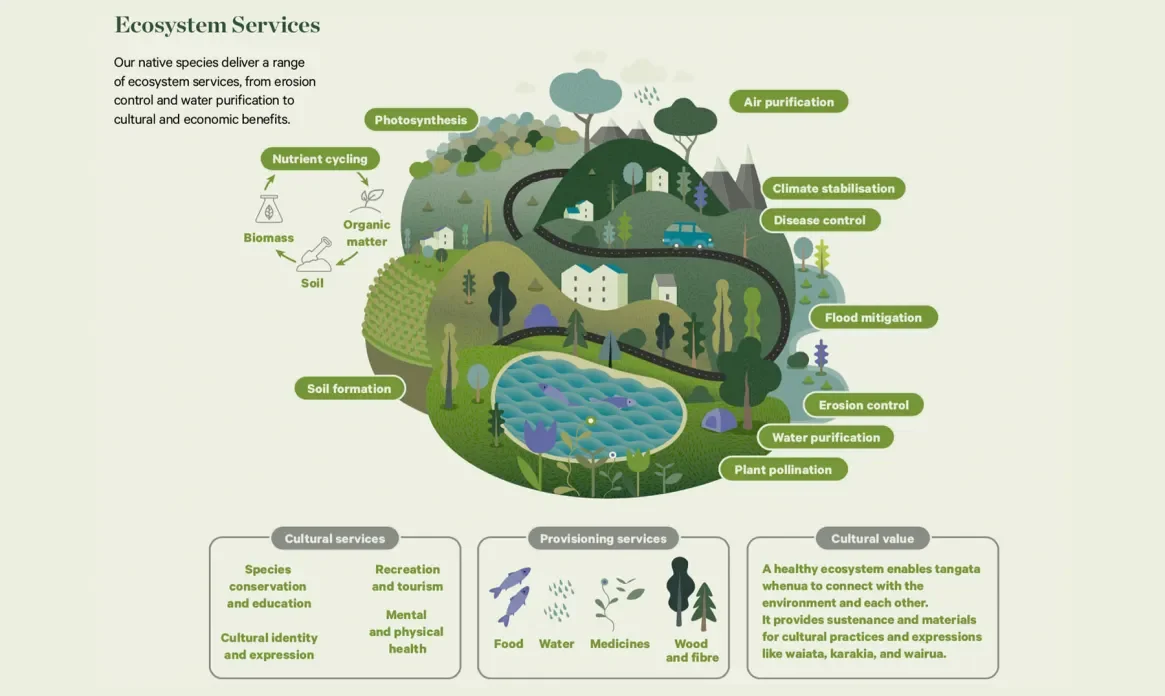 Overview of Ecosystem Services. Source: Aotearoa Circle. Click to expand.