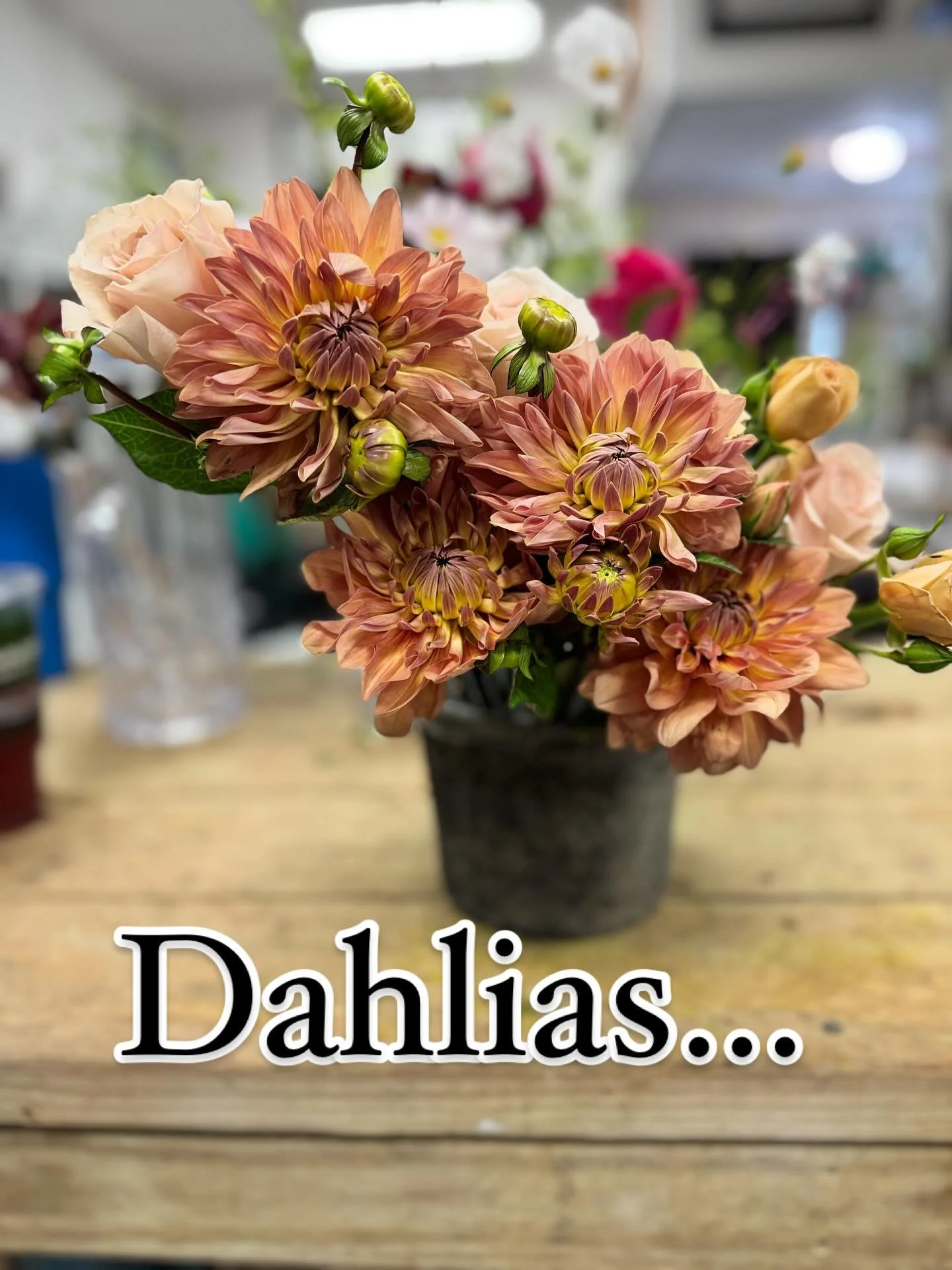 Dahlias &hellip; such a beautiful fragile stem.  I love using the vintage clay pots to create a garden feel!  We have a variety of shades and styles to create a fun tablescape - perfect for a fall dinner party!
