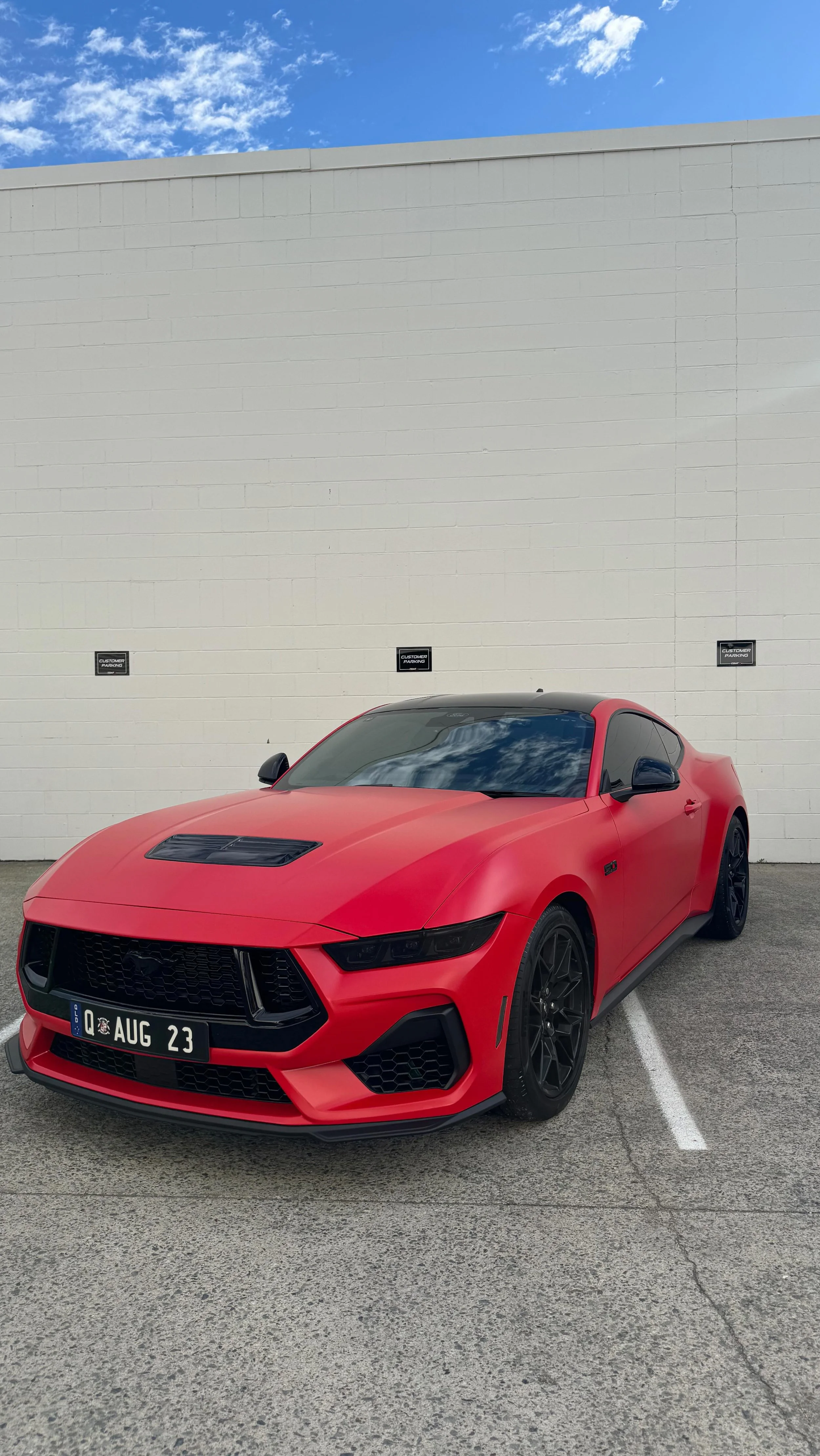 Could #stealth red be the most photogenic colour ever 😍 it’s incredible how much the matte PPF has accentuated the already sharp body lines on the #gtmustang
.
.
.
.
.
#ppf #stealthppf #matteppf #mattewrap #viral #carsofinsta #satisfying #for