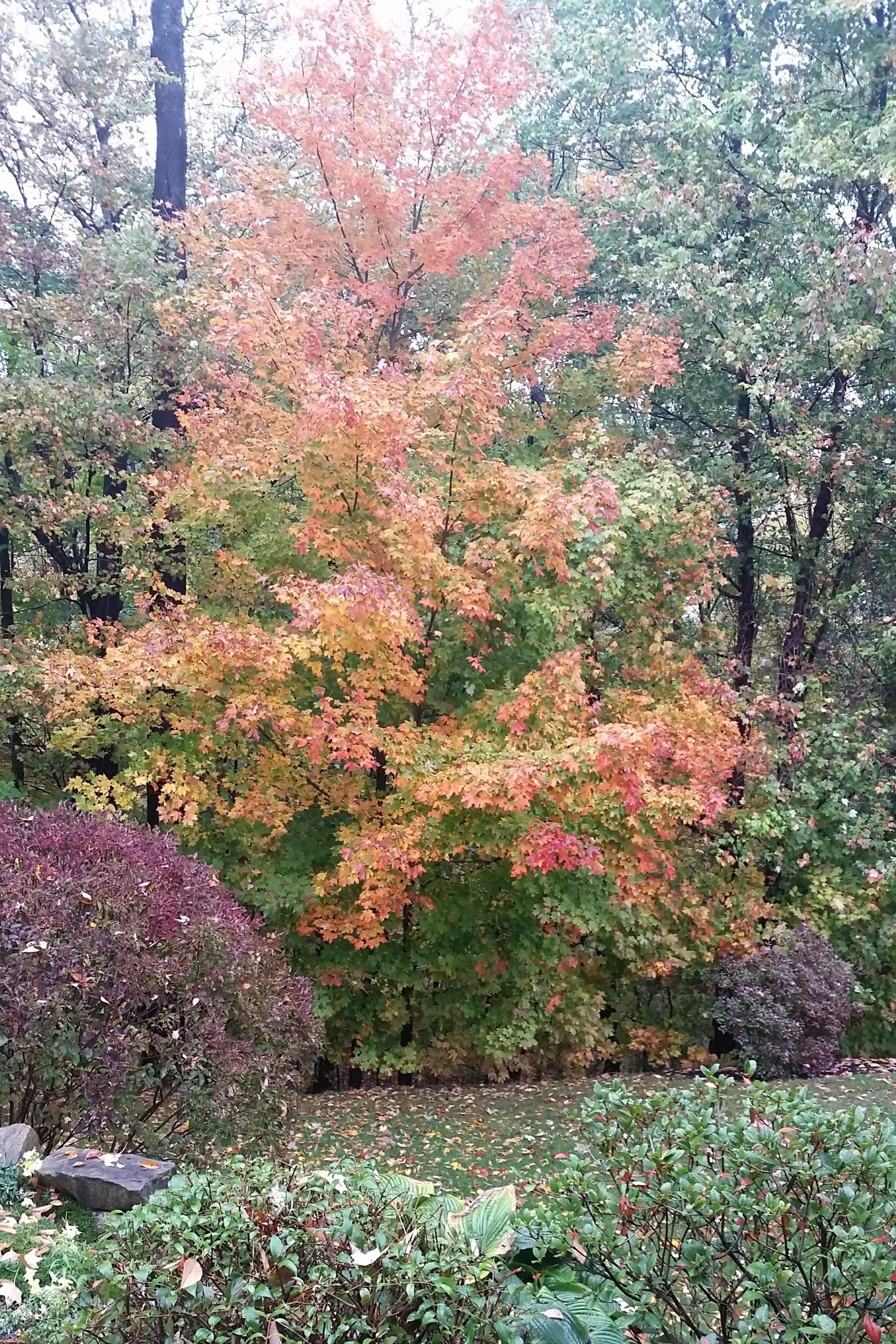 20161021_161215.jpg