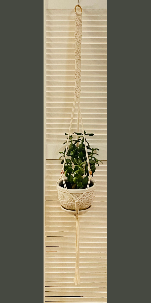 Untitled design (52).png