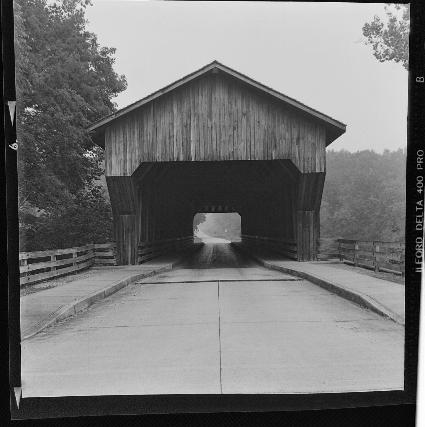 Rainy weather, so I developed a roll of film I shot on my Rolleiflex and then forgot in the bottom of my bag. #nofilterneeded #filmphotography