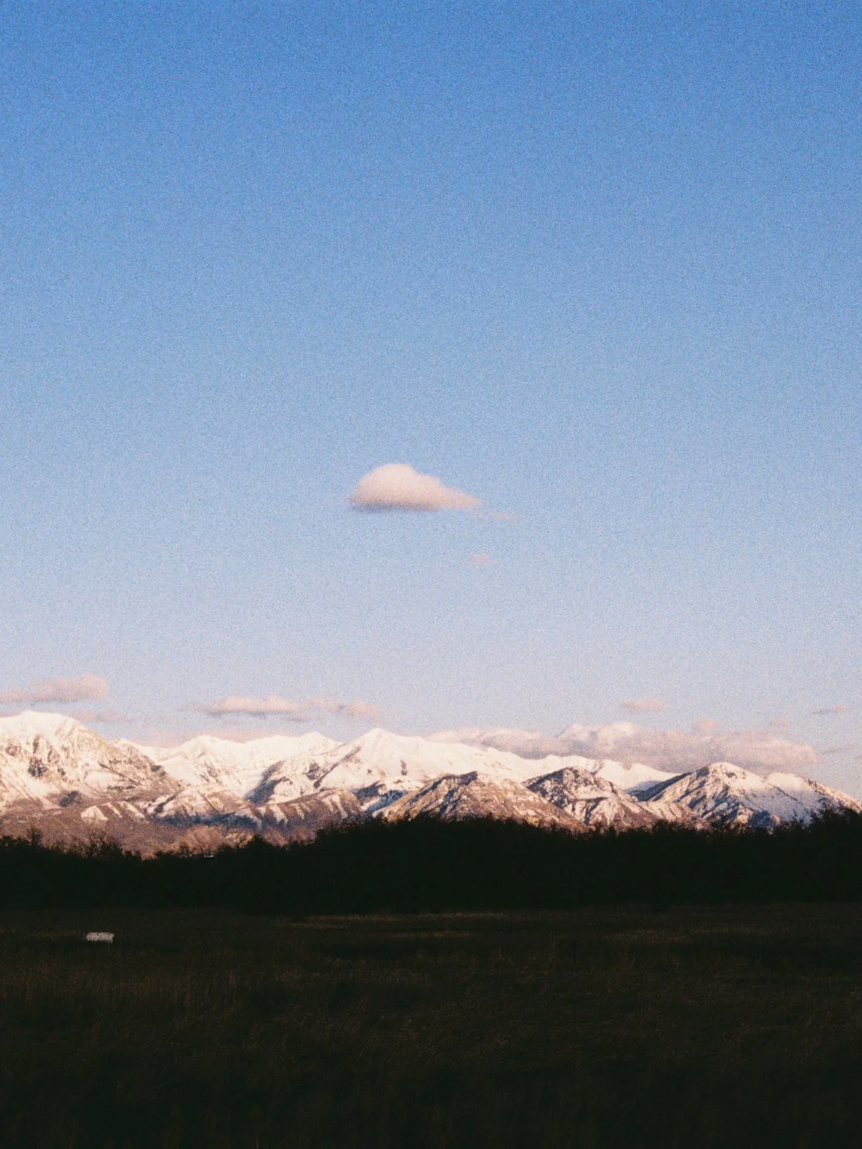 IMG_9697.png
