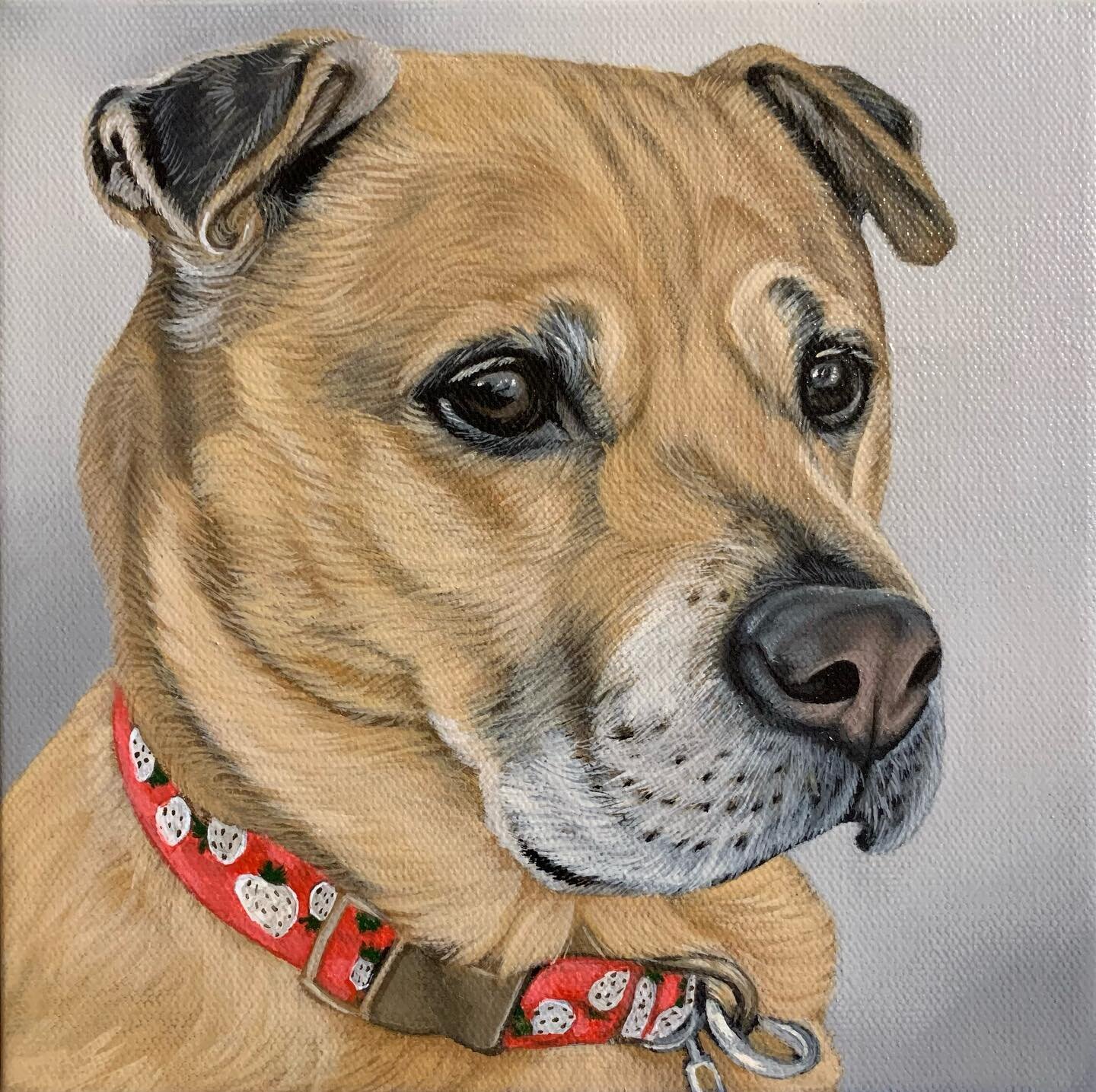 Meeka ❤️ The original photo is of her standing guard while her little humans play at the park. Taking her duty very seriously but then she is also very much this (Swipe 👉🏻)! 

#guarddog #petsofinstagram #petsagram #artistsoninstagram #petportraitar