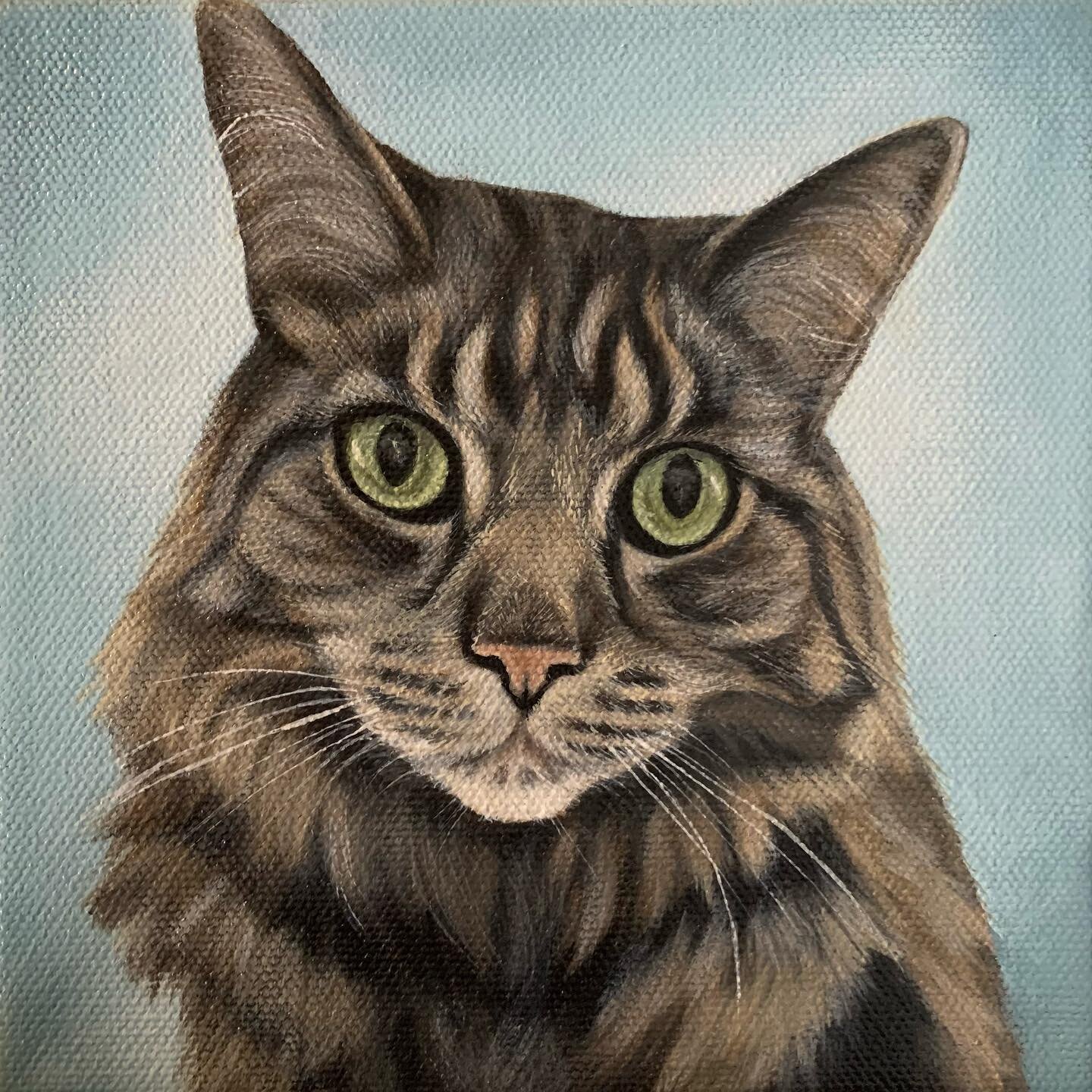 💚Michael Finnegan💚

Cats are beautiful. #catsofinstagram #catpainting #catlover #cats #acrylicpainting