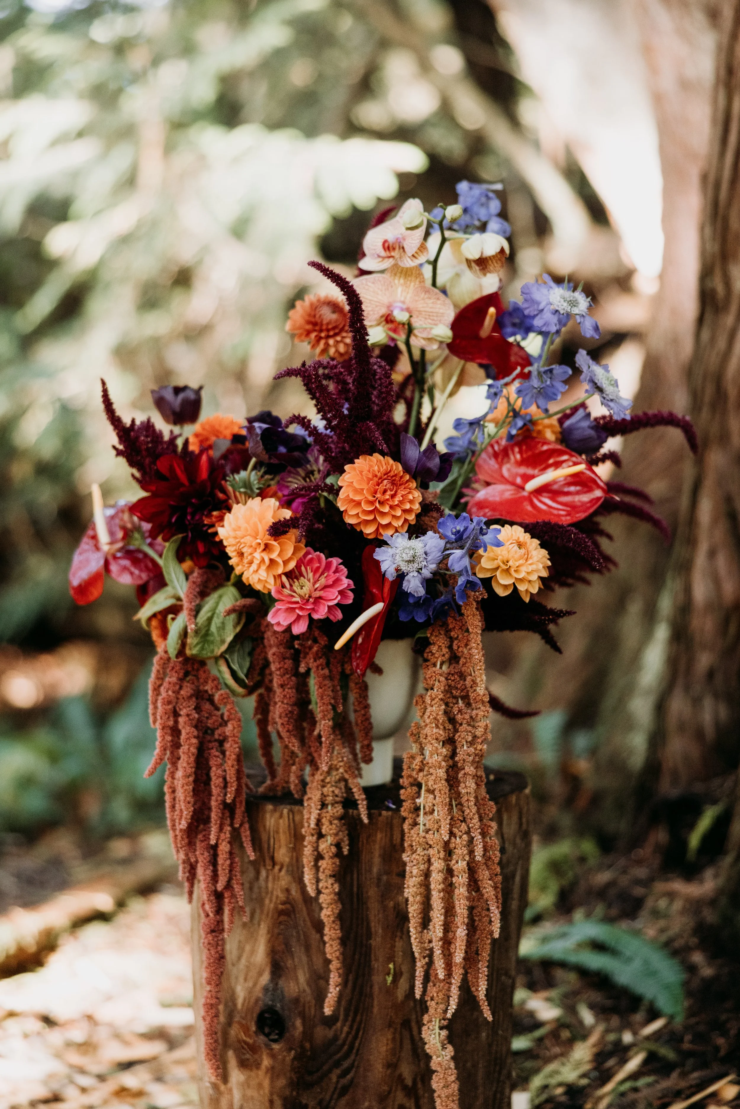 Sasha & Michael Ceremony (10 of 204).jpg