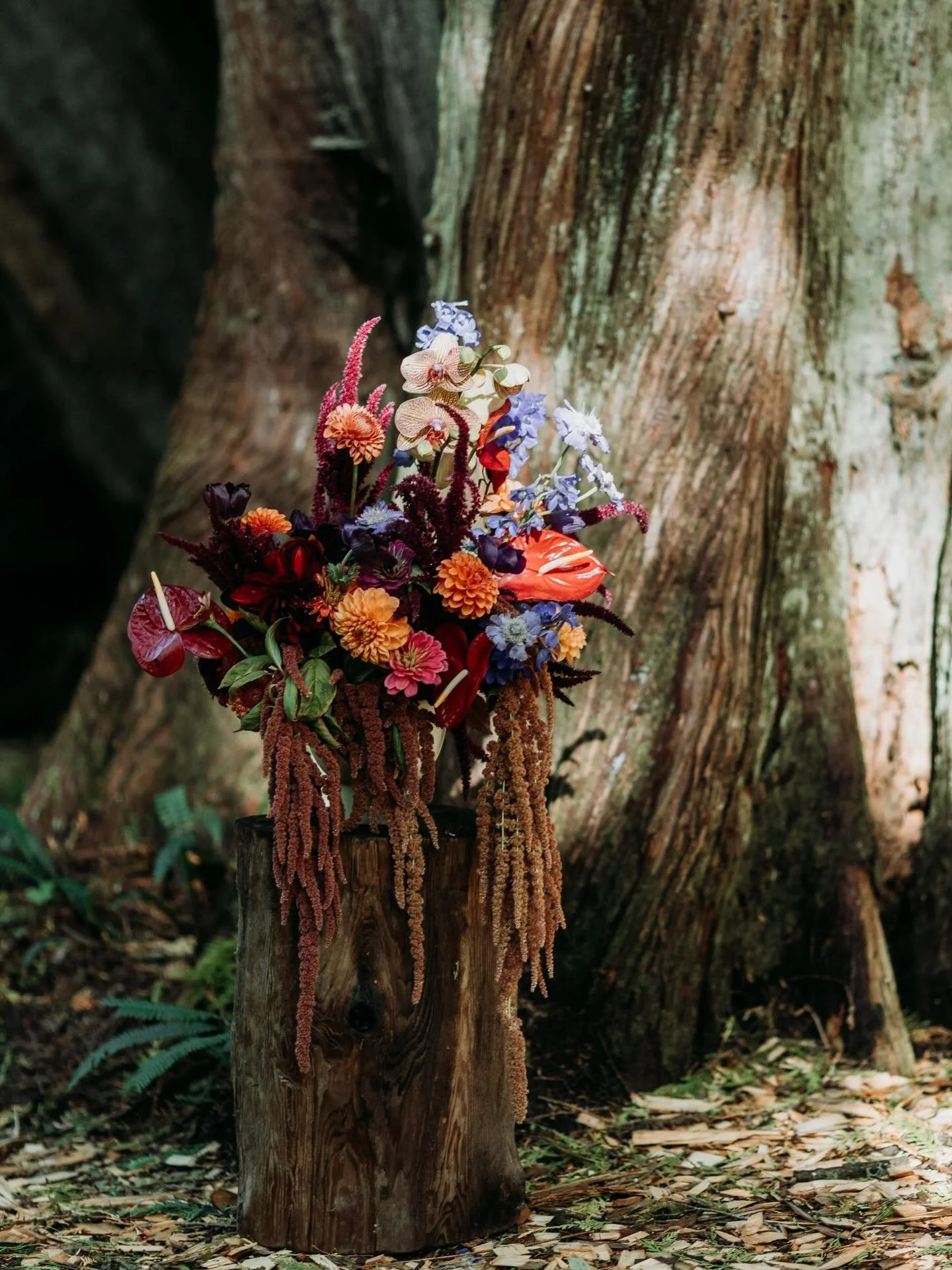 Absolutely loved working with this palette, one of my favourites from last season for sure! So thankful for the opportunity to design in such a beautiful location for this amazing couple! 

Also, @loveyoubunchesflowers for coming in clutch with the l