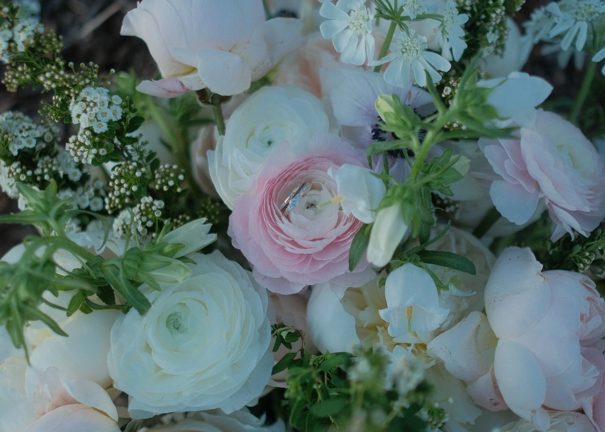 DSCF3875.jpg