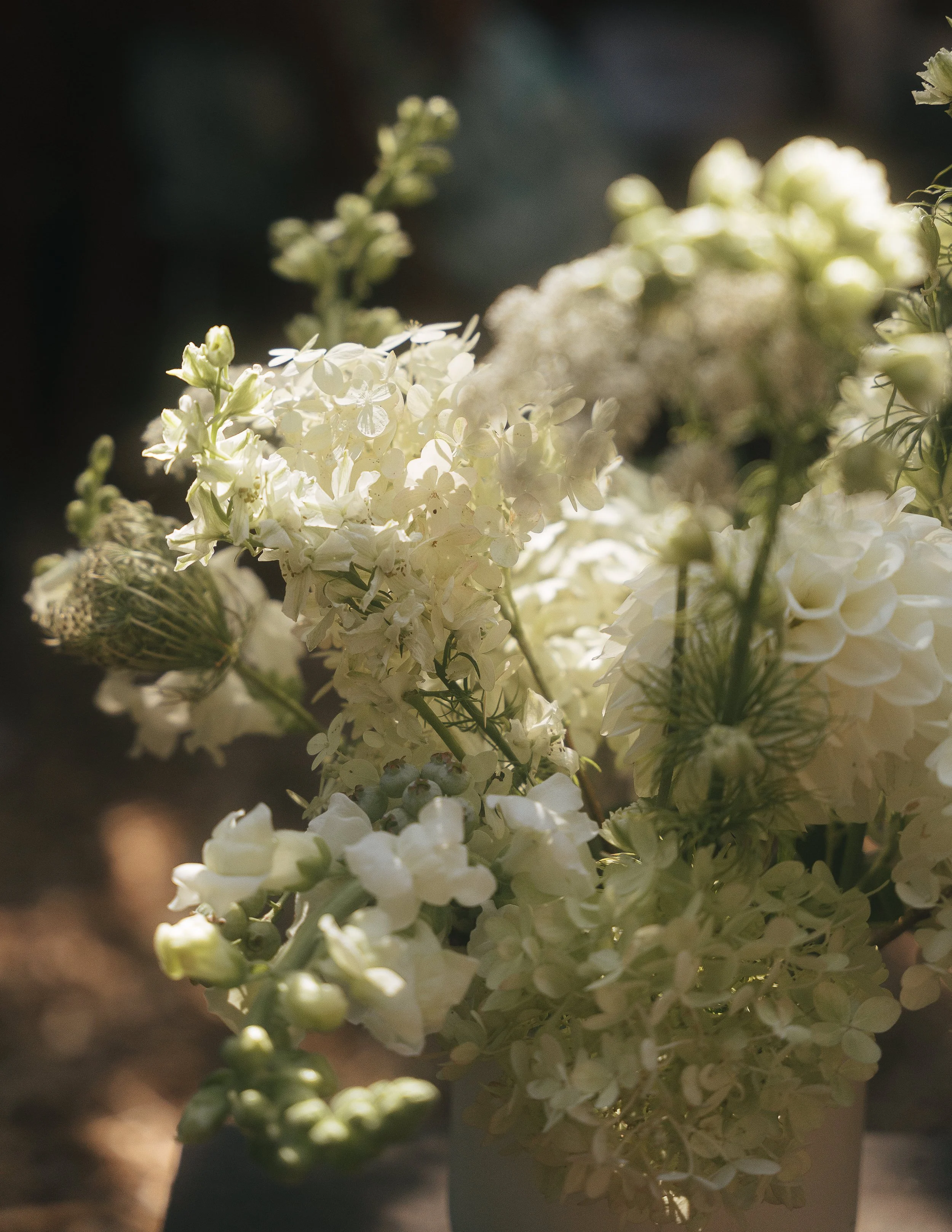 Freya_Photography_Vancouver_Island_Wedding_Photographer_L&M-167.jpg