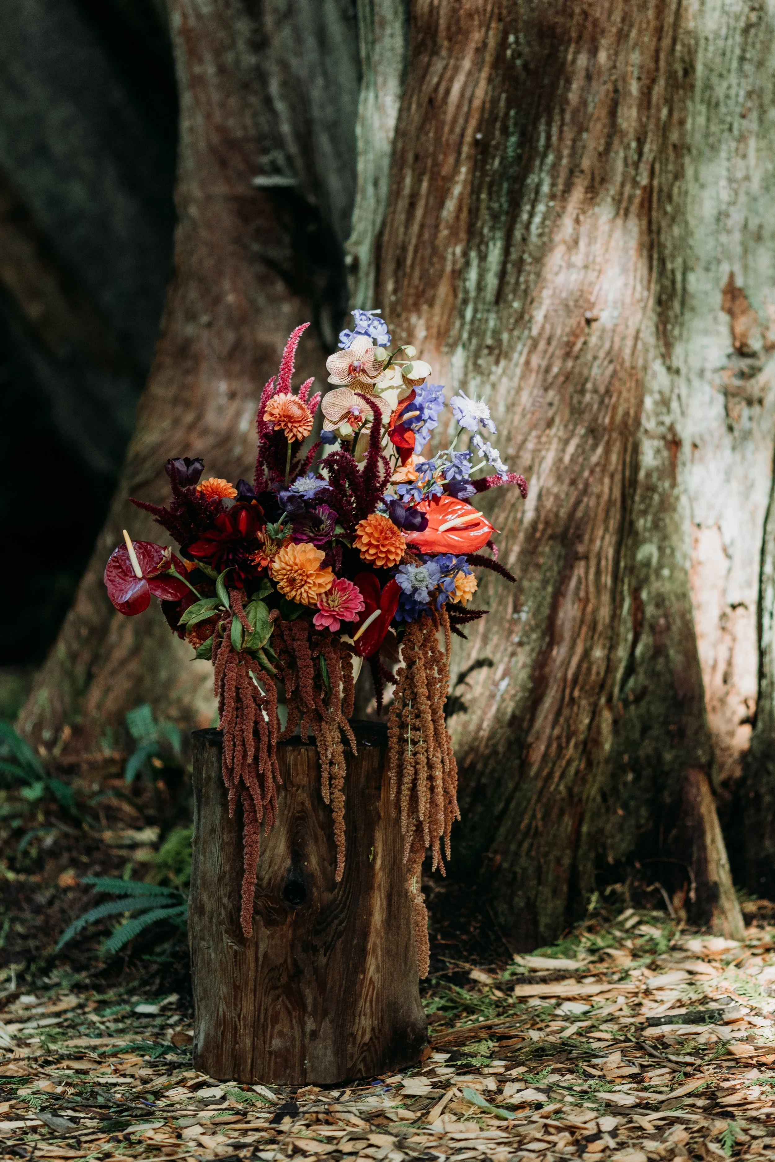 Sasha & Michael Ceremony (7 of 204).jpg