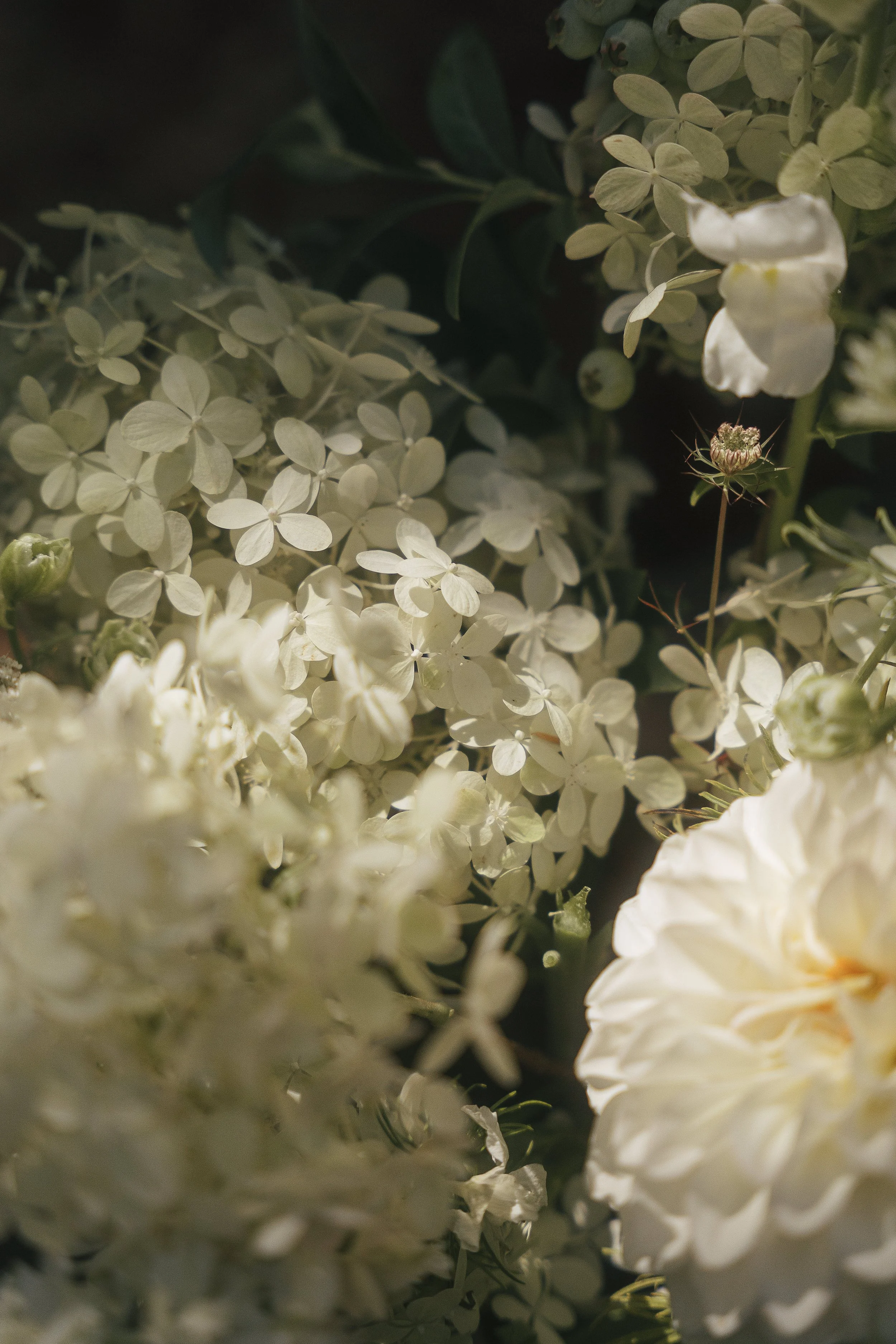Freya_Photography_Vancouver_Island_Wedding_Photographer_L&M-169.jpg