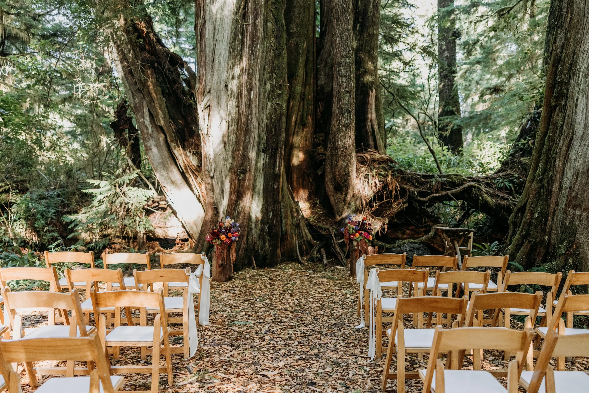 Sasha & Michael Ceremony (3 of 204).jpg