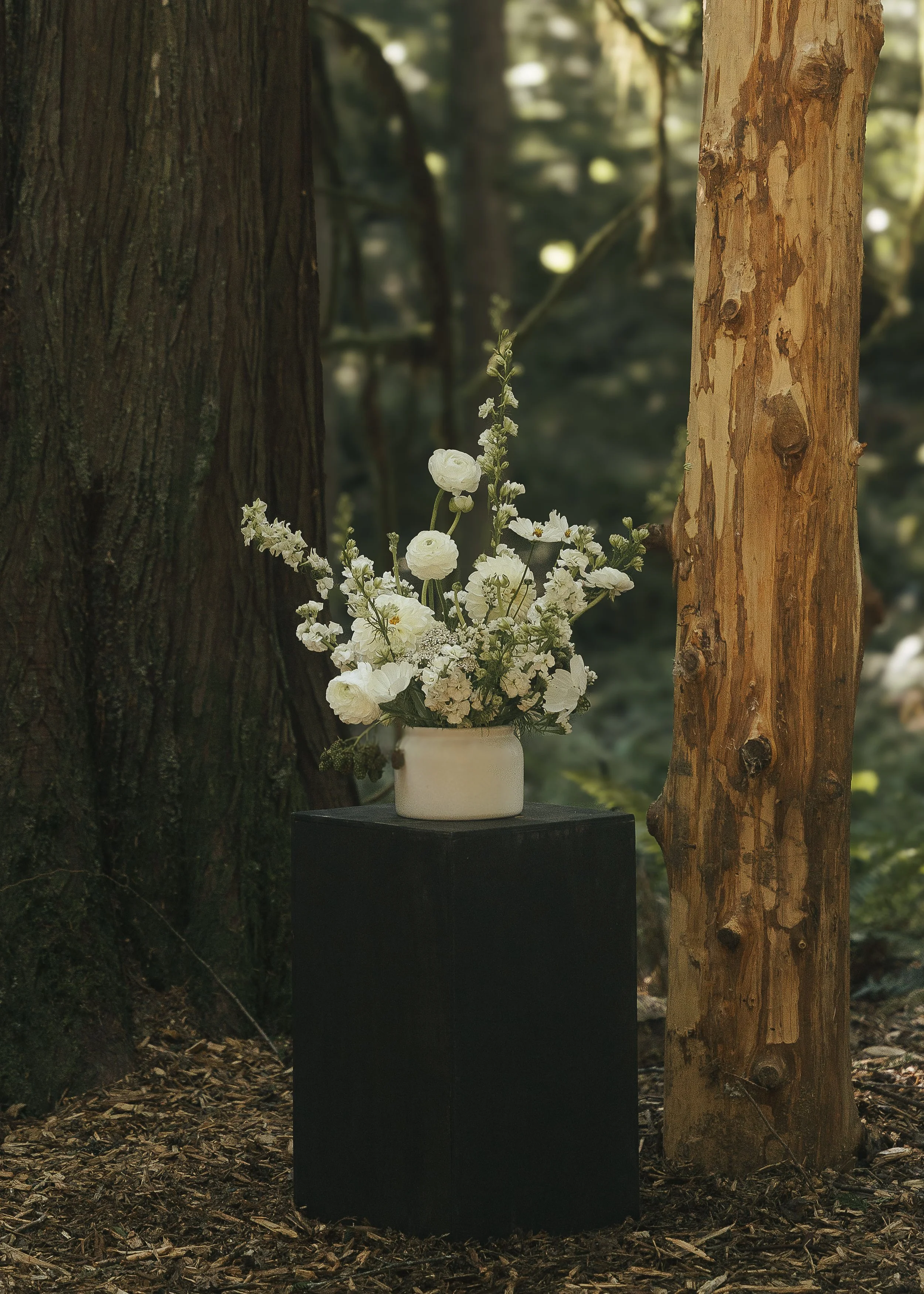 Freya_Photography_Vancouver_Island_Wedding_Photographer_L&M-158.jpg