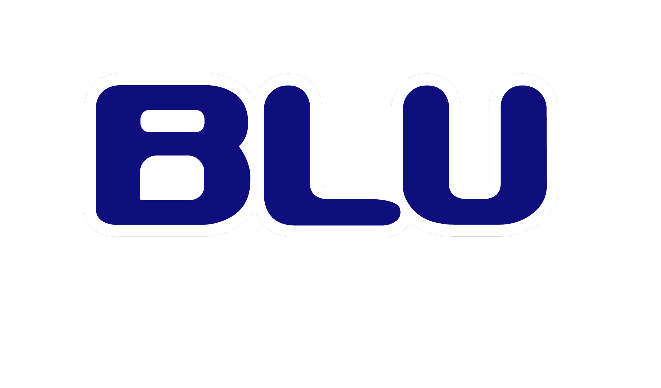 Blu Logo 4.png