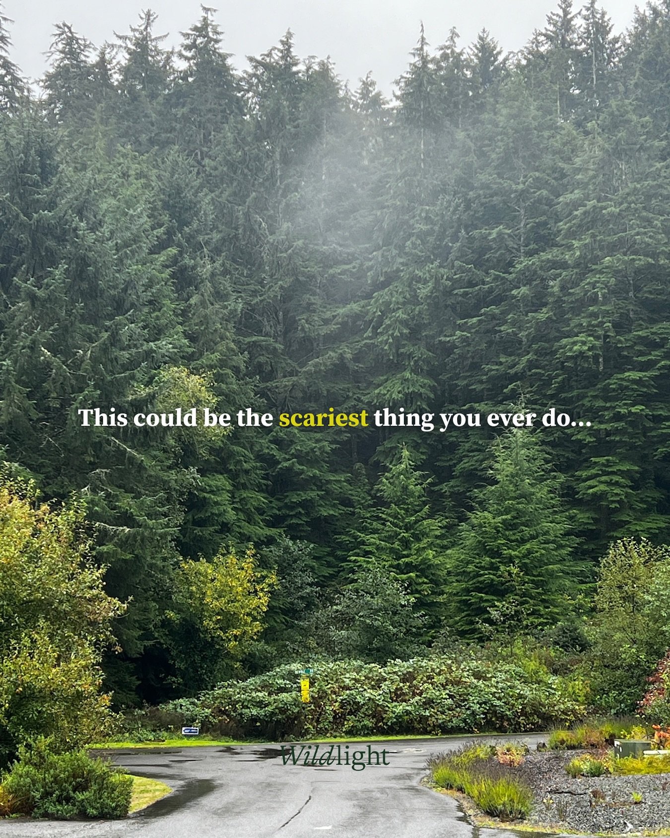 BOO! đź‘» There’s no better time to spook yourself than NOW.
Where you’ll say fuck it, take the leap, set boundaries, get curious about the what ifs, send that pitch deck, position yourself for that dream role, and finally put yourself fir