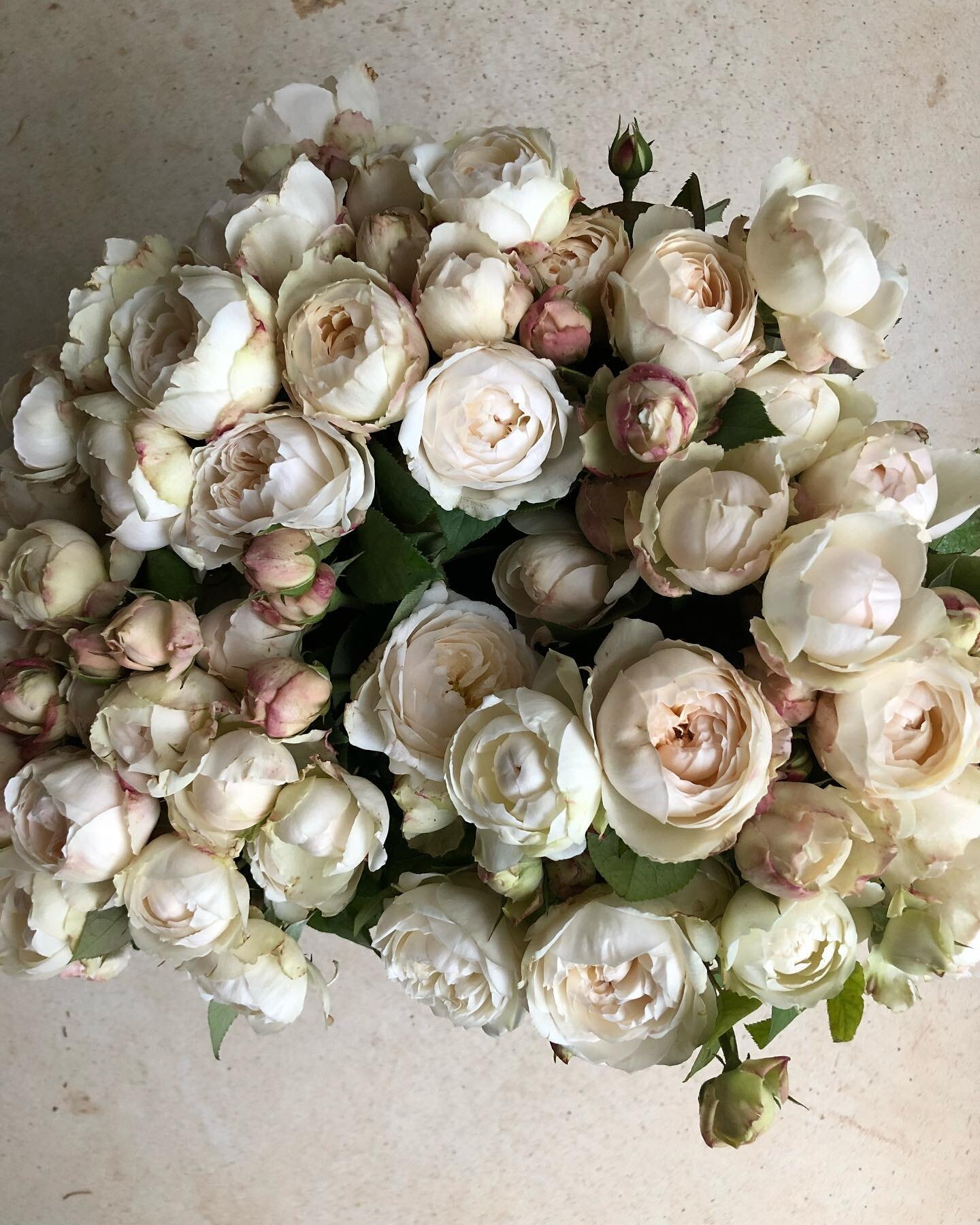 To all who nurture, care for, or mentor to, whatever you identify as, have a happy day.