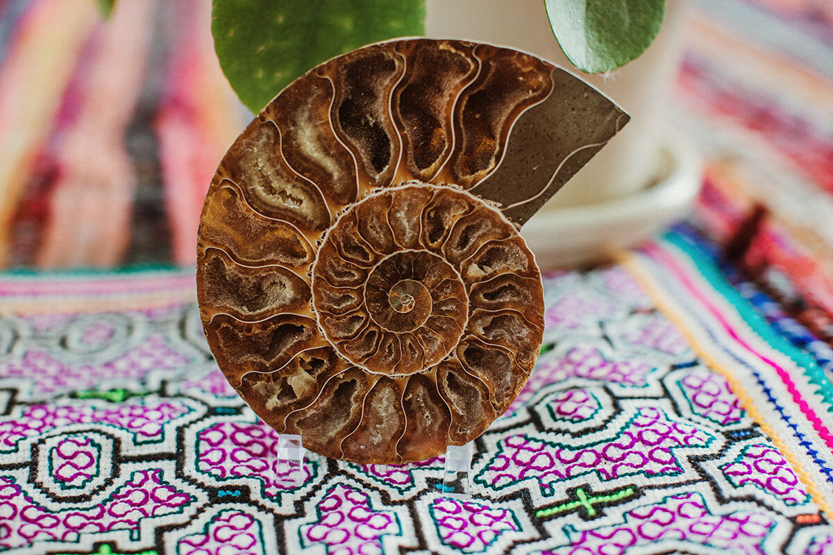 The Psychedelic Boom</a>