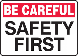 Psychedelics and Safety