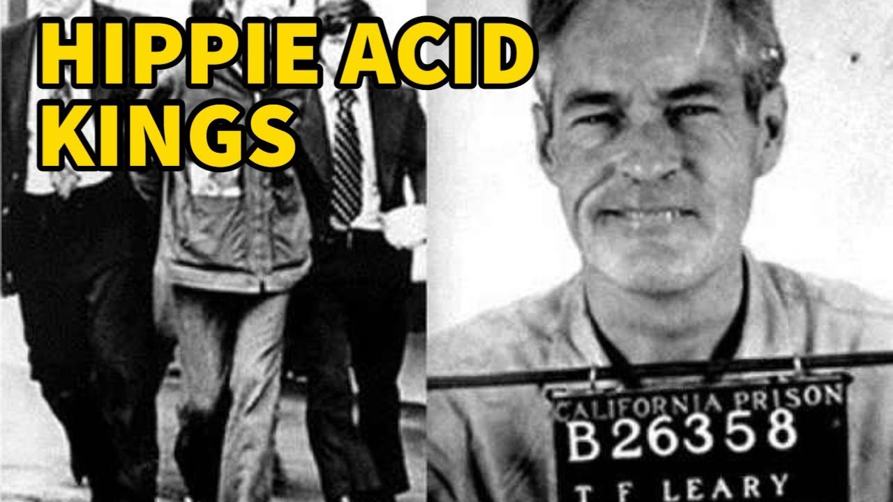 How to Make Psychedelics Illegal Again