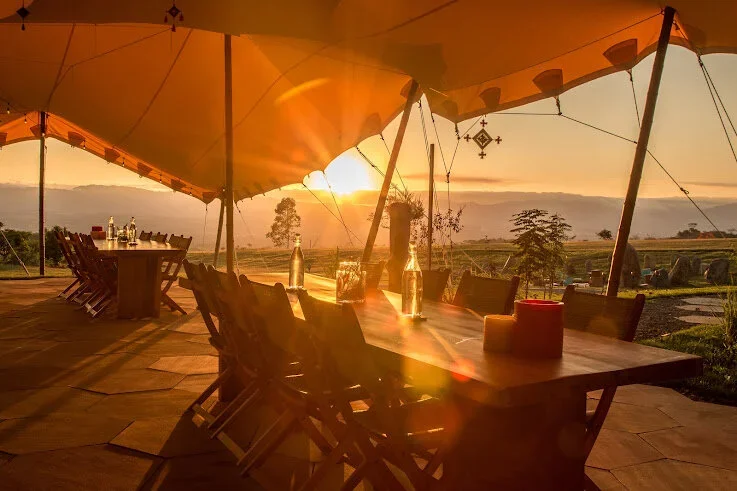 A Plant Medicine Retreat for Deep Heart Healing