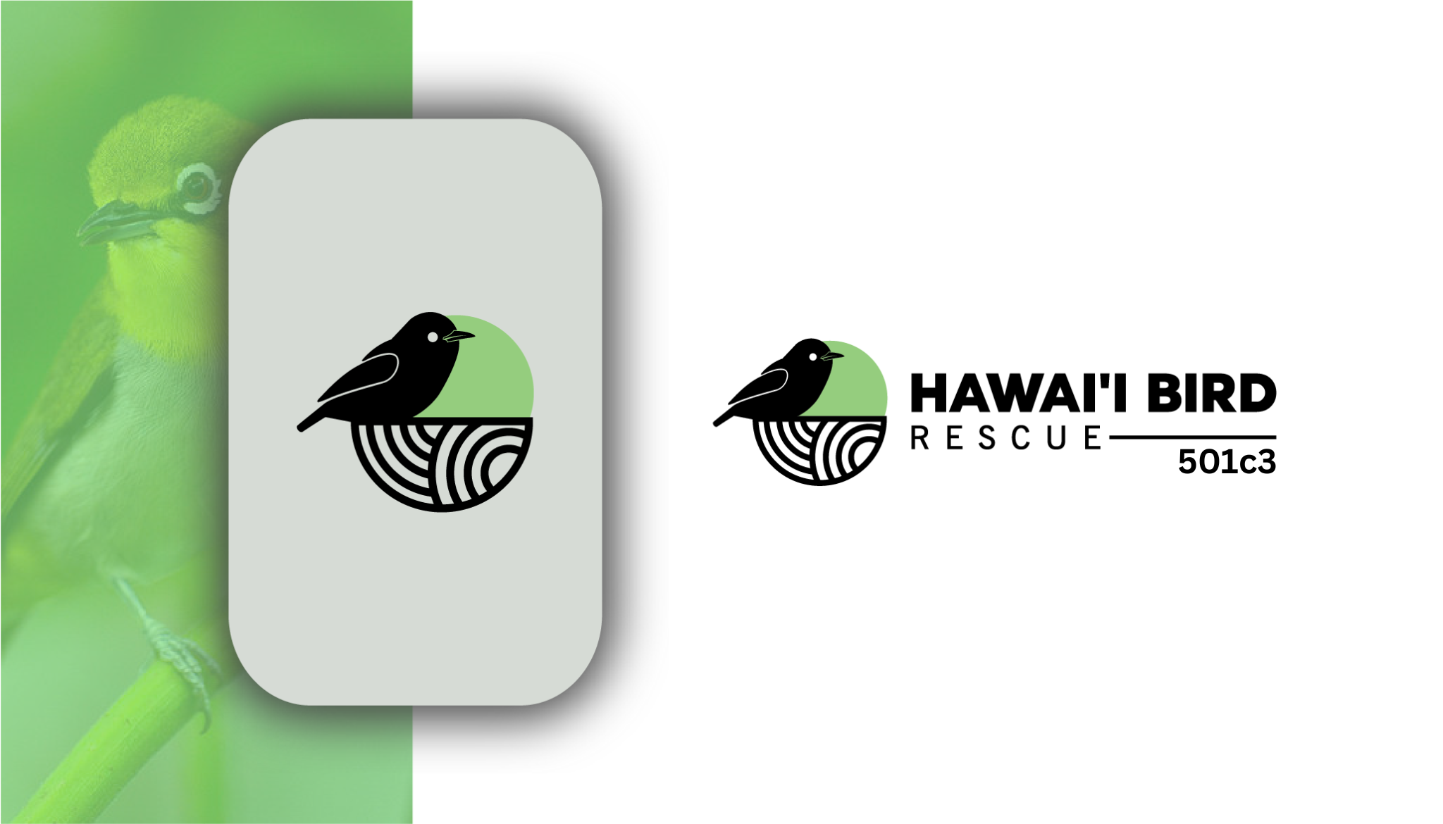 Bird on nest next to "Hawaii Bird Rescue 501c3"