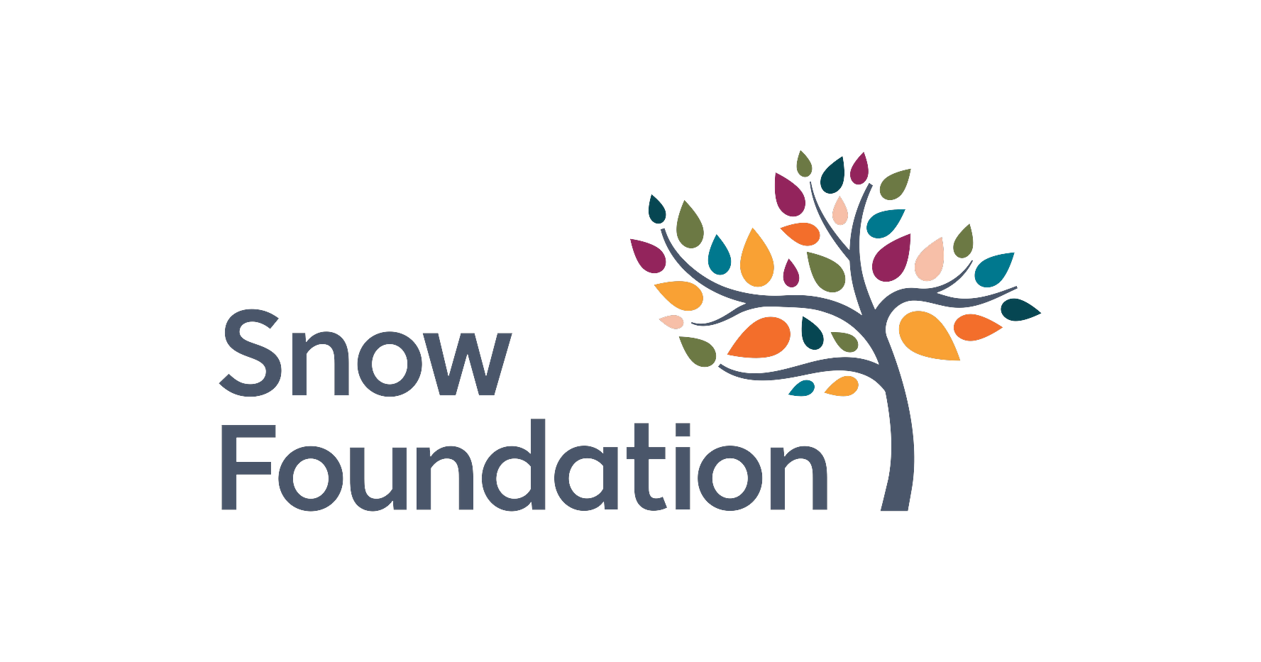 p1-f1-snow-foundation.png