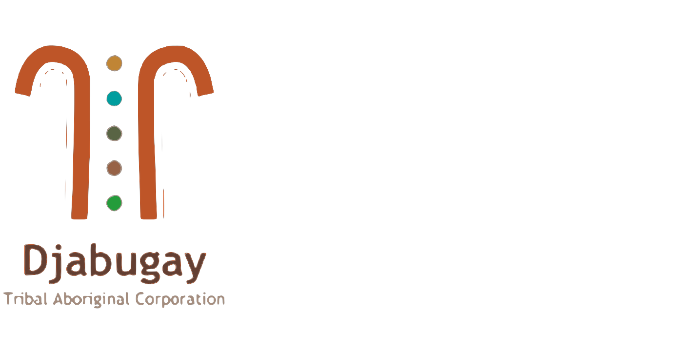 Djabugay-led creative project with YouthLink Kuranda, 2026