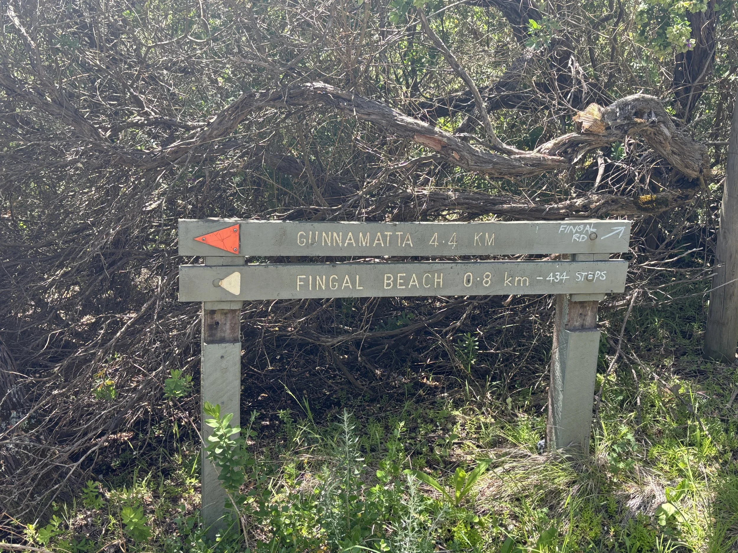 Fork in the Fingal Track