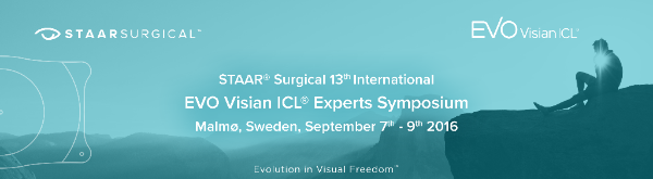 ICL expert meeting in Sweden