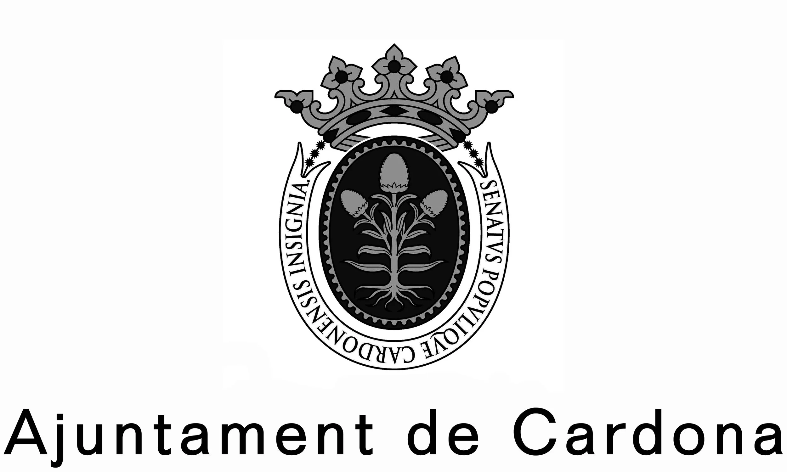 Logo Ajuntament de Cardona
