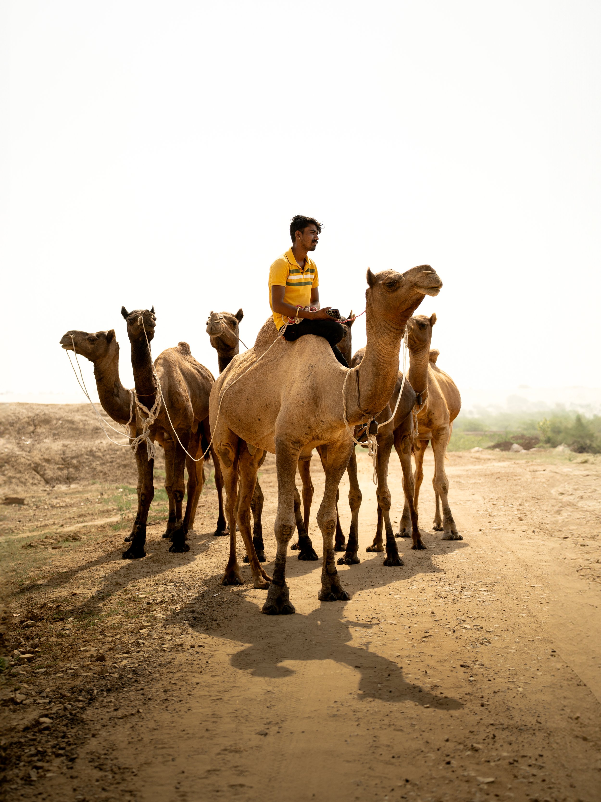 1FavouritesfromCAPPADOCIA-8 copy.jpg