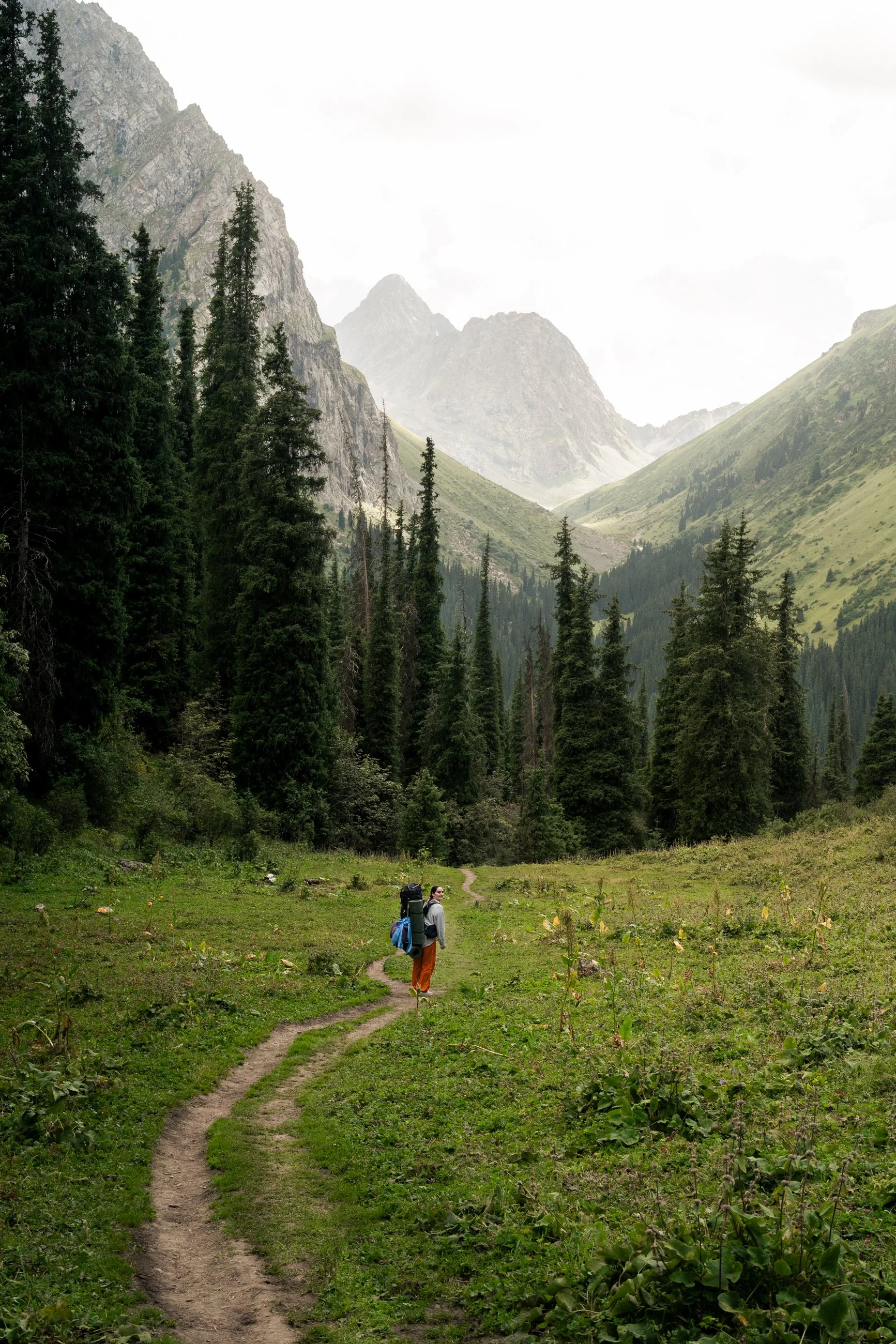 Ascent to Sirota Camp