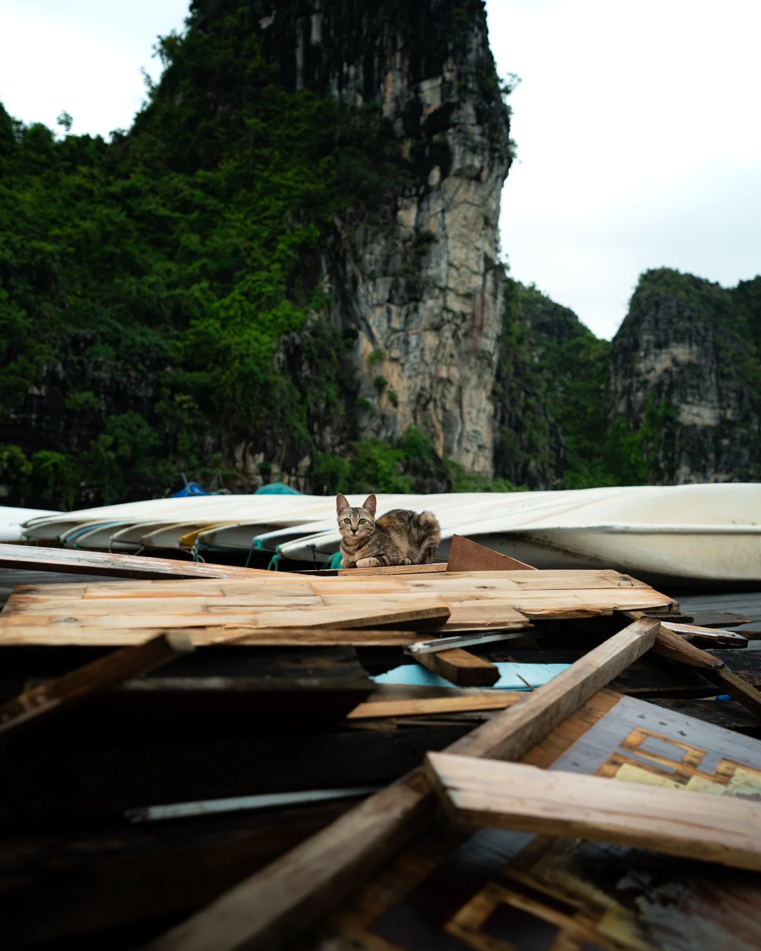 Floating village residents