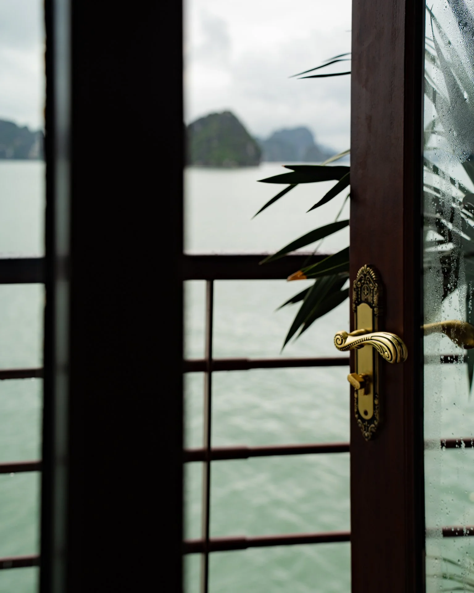 Misty mornings on board
