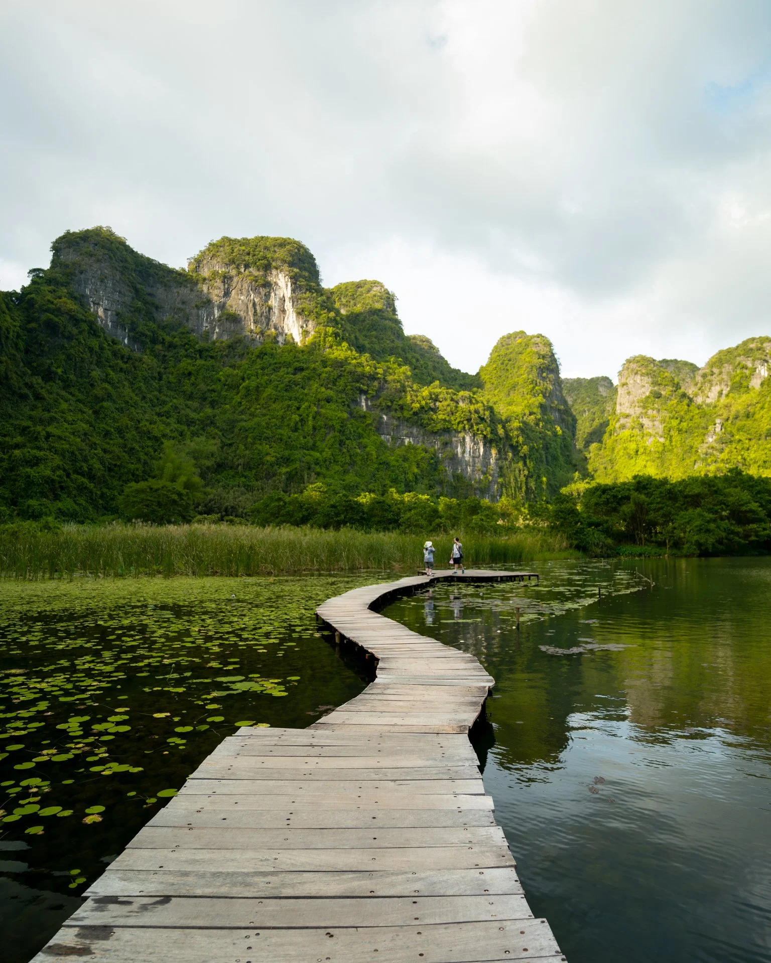 Lotus ponds near Hang Mua viewpoint