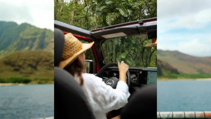 one (beautiful) day in o&rsquo;ahu hawaii 🌴❤️&zwj;🔥🌺

starting with swimming with dolphins off the west coast 🐬

a drive through the ho&rsquo;omaluhia botanical gardens 

visit the movie sites at kualoa ranch

hive dive at hanai hives

swim under