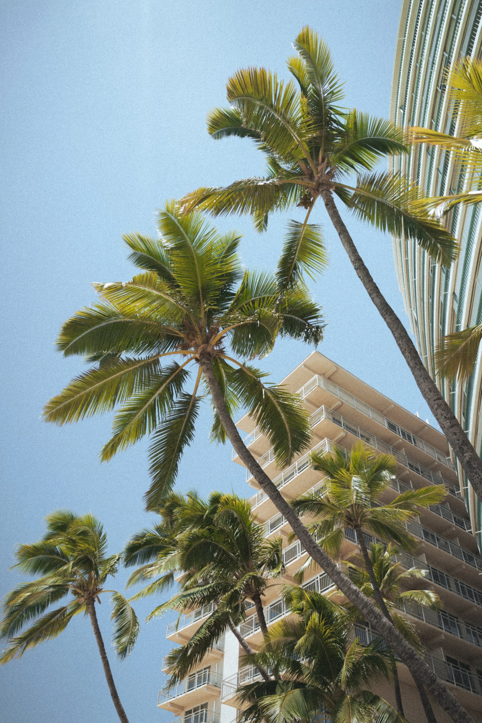 HawaiiDay4-11.jpg