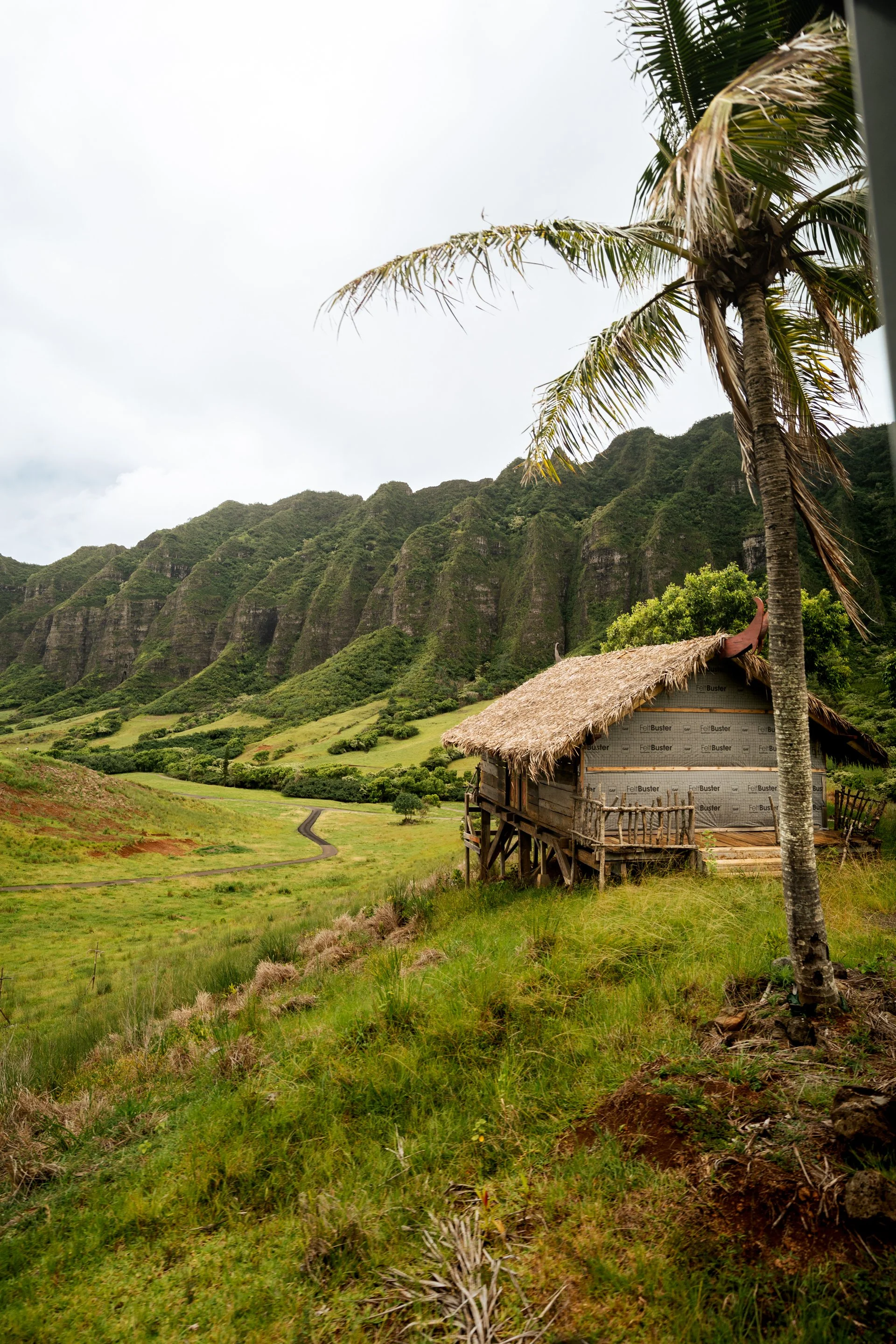 HawaiiDay7-5.jpg