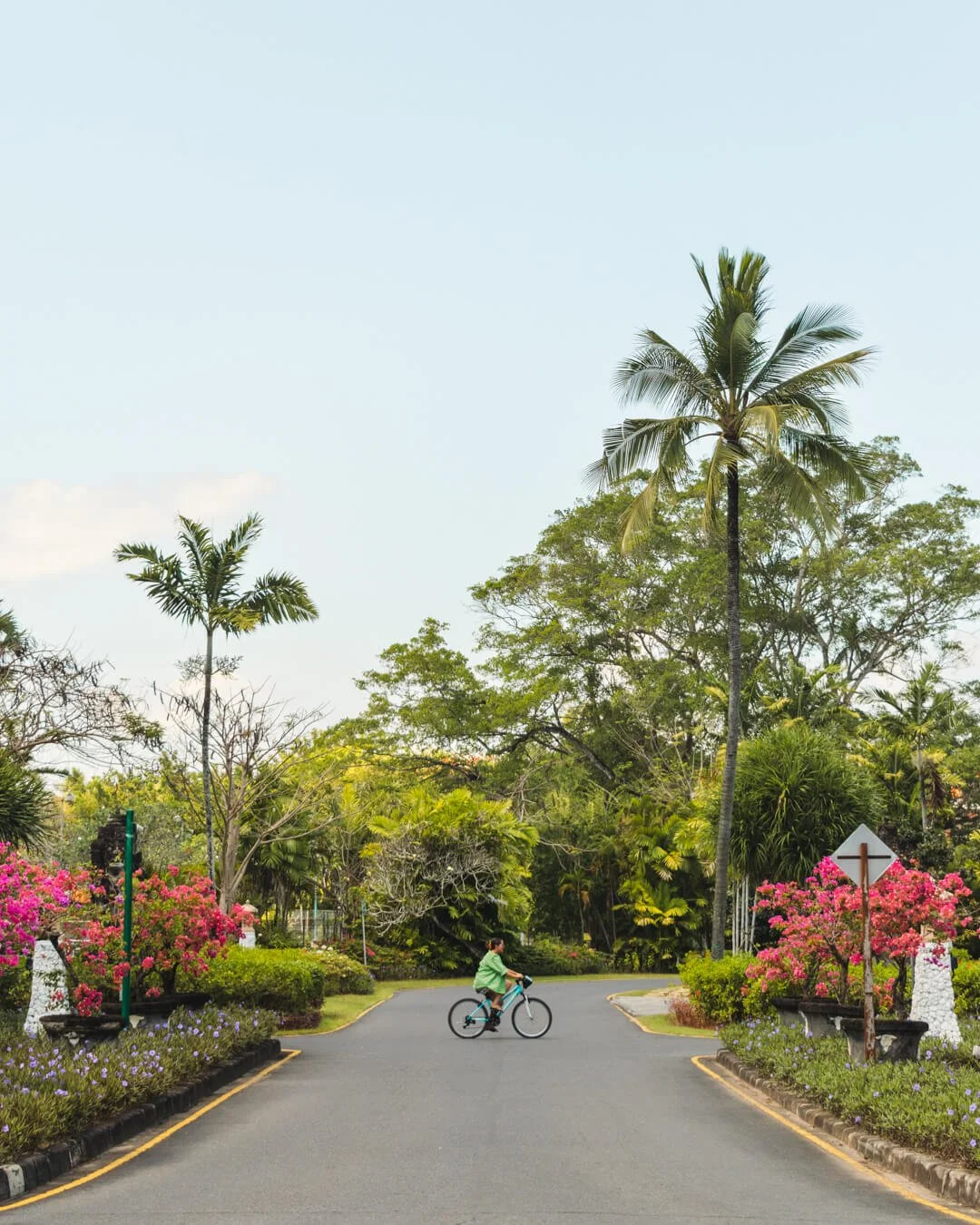 save money travel bali bicycle palm tree indonesia bike
