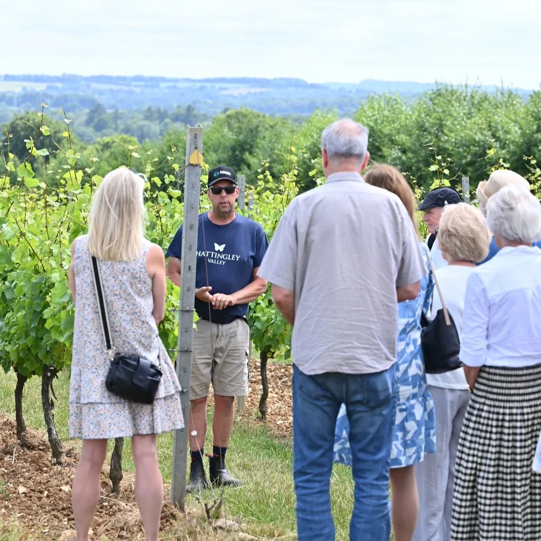 Hattingley-valley-winery