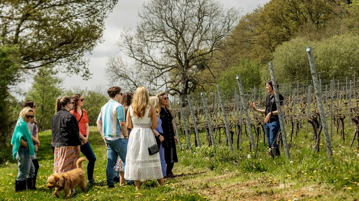 all-angels-vineyard