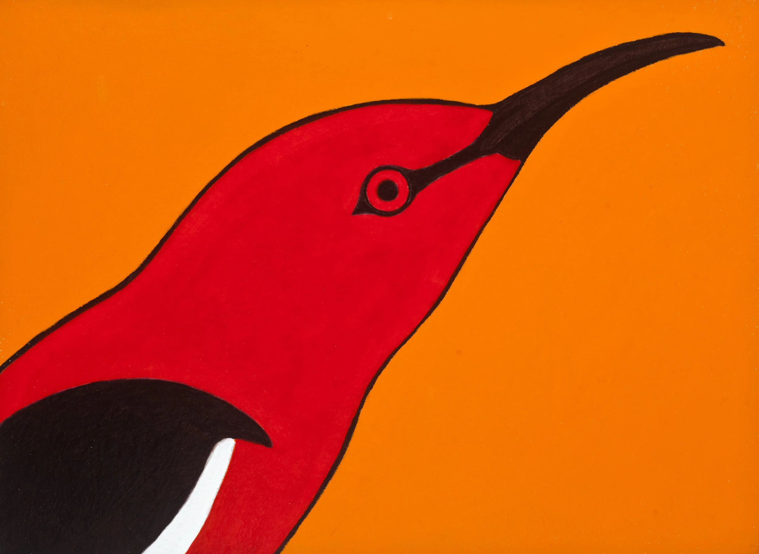 Scarlet Honeyeater