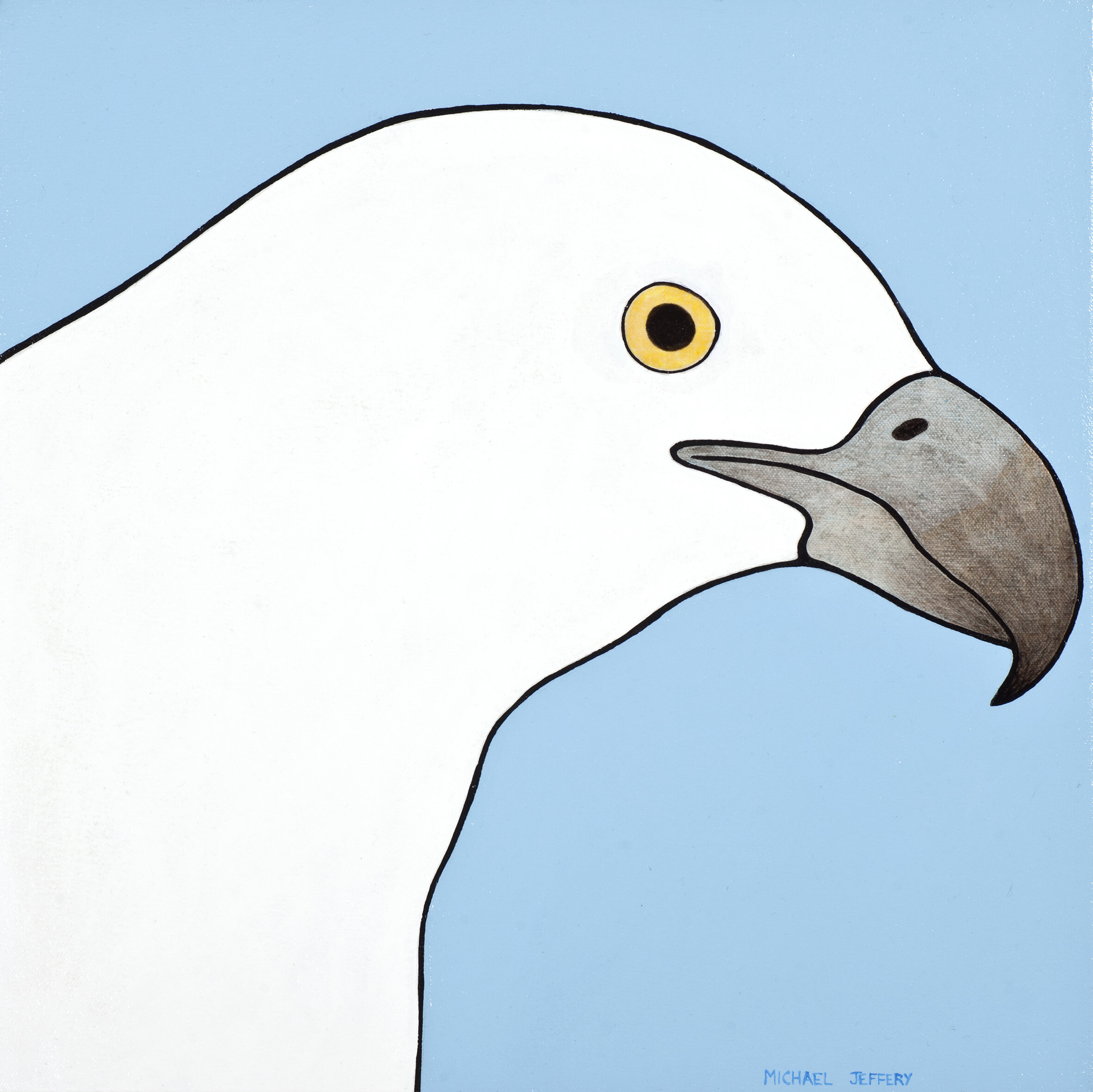 White-bellied Sea-Eagle