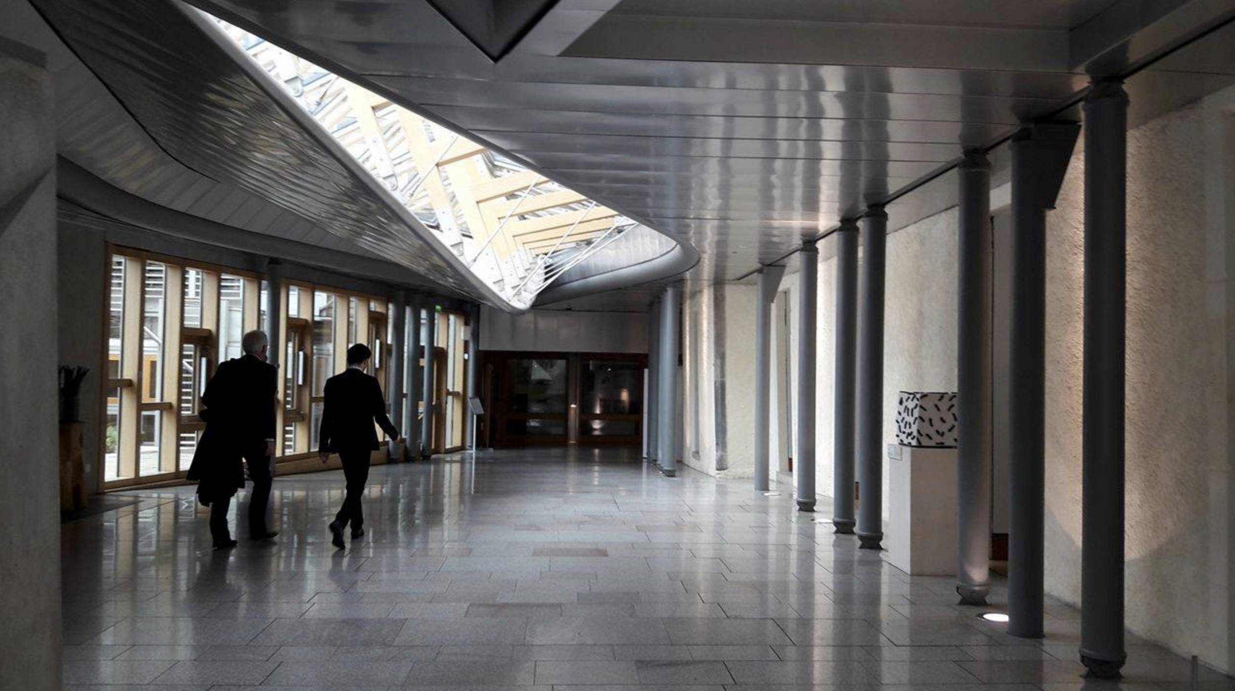 Political Shadowing Scheme: Naina Shadowing the Scottish Green Party