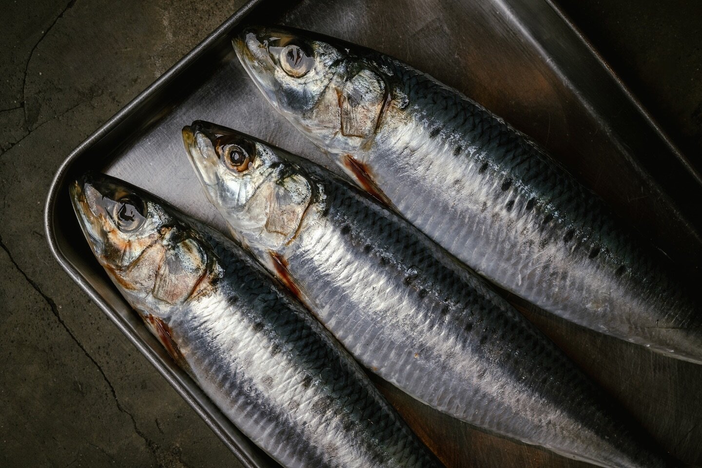 At 22 Ships, we have taken the humble sardines and transformed them into flavourful creations, celebrating the beauty of simple ingredients. Some crowd-pleasers include Smoked Sardines and Moje Salad, Ajoblanco with Sardines &amp; Grapes, and our Gil