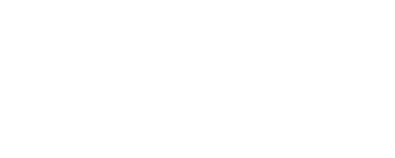 Vous Êtes Magnifiques