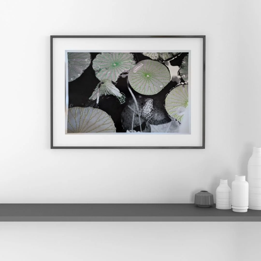 Mockup Nenuphar 2.jpg